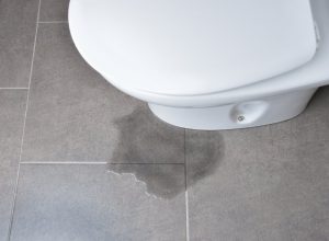 Confirm toilet leakage