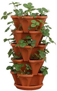 best pots for plants