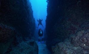 Best Diving Places in Belize