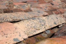 common roofing issues