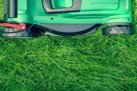 Buying a perfect mower feature