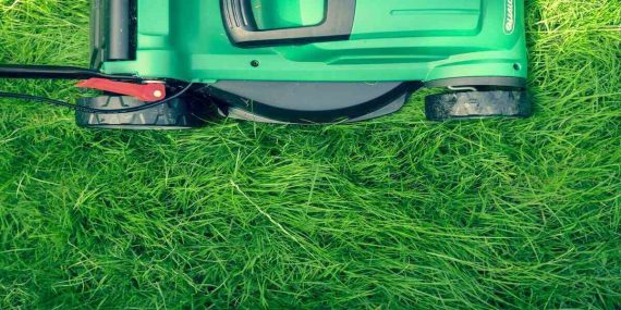 Buying a perfect mower feature