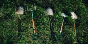 garden tools curb appeal