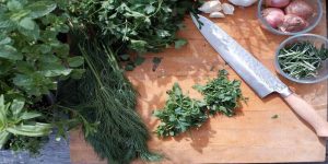 fresh herbs in the kitchen