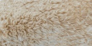 winter décor ideas sheepskin rug